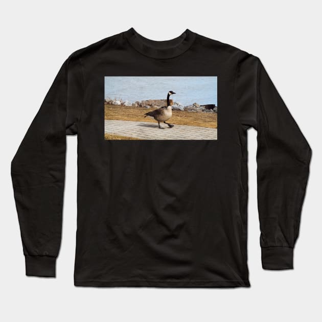 Canada Goose Walking On The Sidewalk Long Sleeve T-Shirt by BackyardBirder